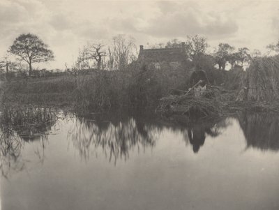 A Gladdon kvantálása,1886 (fotó) alkotó: Peter Henry Emerson