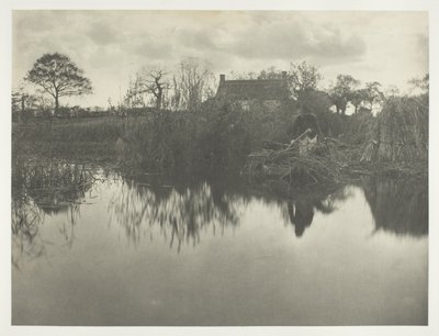 A Gladdon mennyiségének meghatározása alkotó: Peter Henry Emerson
