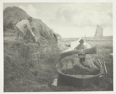 Ricking the Reed alkotó: Peter Henry Emerson