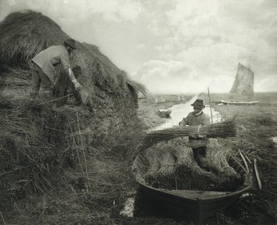 Ricking the Reed, 1885 körül (platina nyomat) alkotó: Peter Henry Emerson
