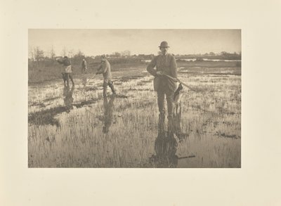  alkotó: Peter Henry Emerson
