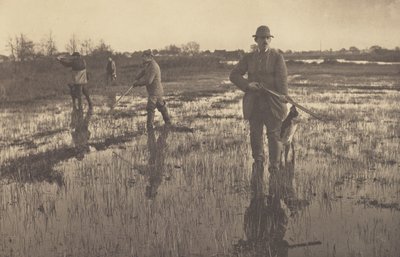  alkotó: Peter Henry Emerson