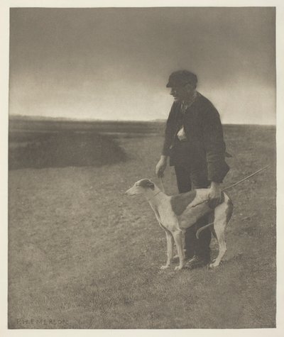 Az orvvadász – Egy nyúl látható, (Suffolk) alkotó: Peter Henry Emerson