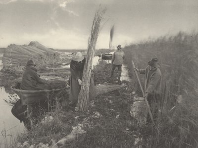 A nádszüret idején alkotó: Peter Henry Emerson and T.F. Goodall