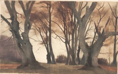 Bükkfák Ermelundenben alkotó: Peter Vilhelm Ilsted