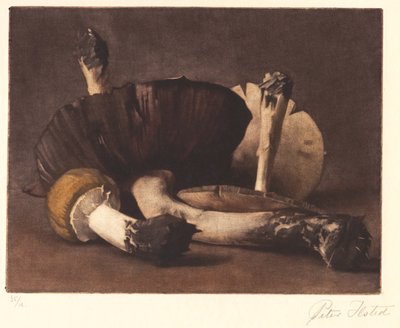 Sárga gomba alkotó: Peter Vilhelm Ilsted