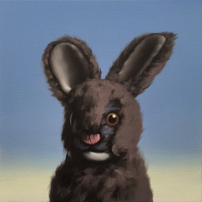 Nyuszi, 2017 alkotó: Peter Jones