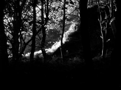 KINTYRE... PLUSZ. 17 alkotó: Peter McClure
