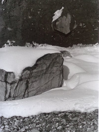 VINTAGE FEKETE-FÉR FOTÓ No.3, 1985, (FOTÓ) alkotó: Peter McClure