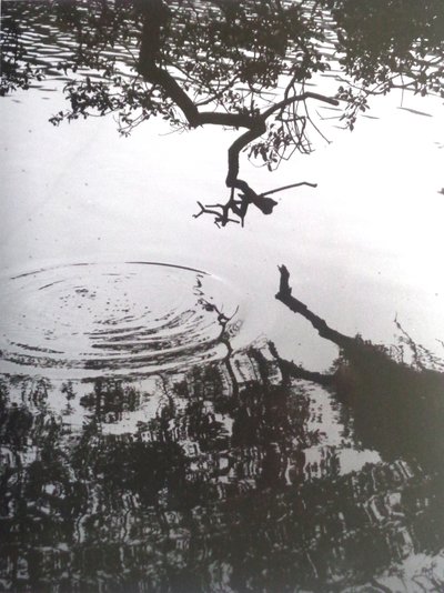 VINTAGE FEKETE-FÉR FOTÓ No.5, 1986, (FOTÓ) alkotó: Peter McClure