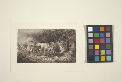 Záporos időjárás (tinta) alkotó: Peter Moran