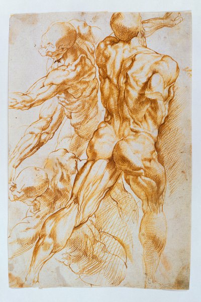 Anatómiai tanulmányok: Aktok a harcban alkotó: Peter Paul Rubens