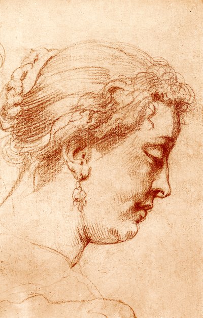 Női profilú fej alkotó: Peter Paul Rubens