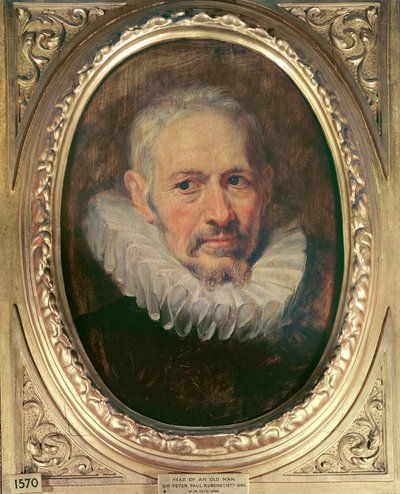 Egy öregember feje (olaj, vályog) alkotó: Peter Paul Rubens