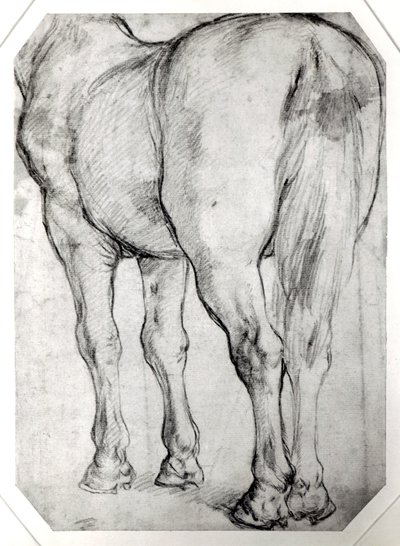 A ló hátsó része alkotó: Peter Paul Rubens
