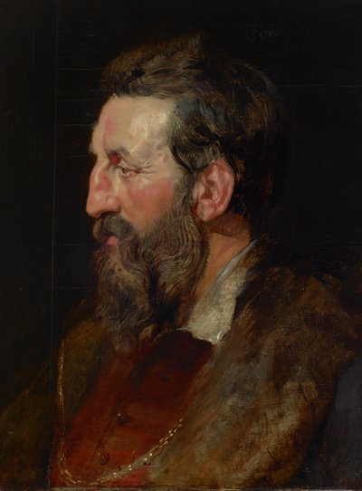 Férfi portréja, 1615 körül (olaj, tábla) alkotó: Peter Paul Rubens