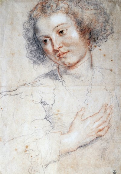 Női portré (Tanulmány Szent Apollónia portréjához) (rajz alkotó: Peter Paul Rubens