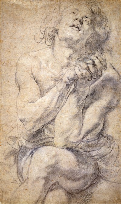 Ülő férfi ifjúság (Tanulmány Daniel számára) alkotó: Peter Paul Rubens
