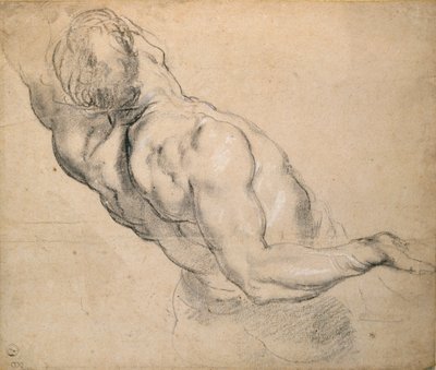 Tanulmány egy meztelen férfi törzsről, 1600-1640 alkotó: Peter Paul Rubens