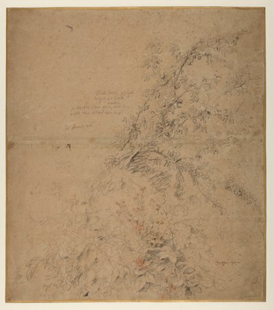 Vizsgálat a kökényről kalászossal és más növényekkel, 1620 körül alkotó: Peter Paul Rubens