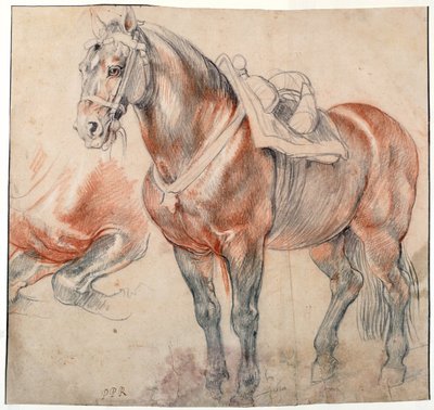 ""egy nyerges ló"" Pieter Paul Rubens (1577-1640) akvarellje, kb. 1616-1618 Bécsi Bibliotheque albertina alkotó: Peter Paul Rubens