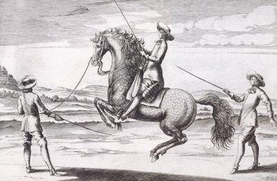 Illusztráció egy lóról en Croupade a Winters, Stuterey és Reit-Schul, pub által írt új értekezésből a tenyészlovakról. 1672 alkotó: Peter Paul Troschel