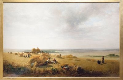 Egy kukoricatábla alkotó: Peter de Wint