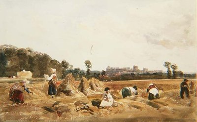 PD.129-1950 Cornfield, Windsor alkotó: Peter de Wint