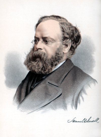 Samuel Plimsoll brit politikus és társadalmi reformer, 1890. alkotó: Petter and Galpin Cassell