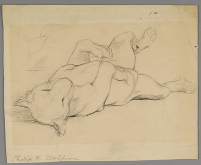 Alvó oroszlán (grafit papíron) alkotó: Philip H. Wolfrom