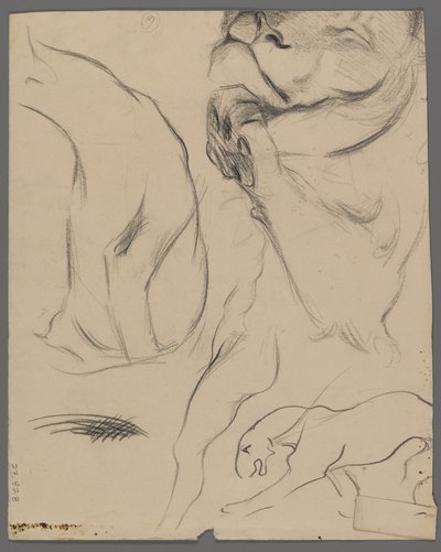 Oroszlántanulmányok (grafit papíron) alkotó: Philip H. Wolfrom