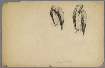 Keselyűk (faszén papíron) alkotó: Philip H. Wolfrom