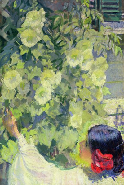 Hollyhocks, 1923 körüli (olaj, vászon) alkotó: Philip Leslie Hale