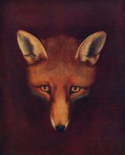 Renard, a róka, c1800, 1922 alkotó: Philip Reinagle