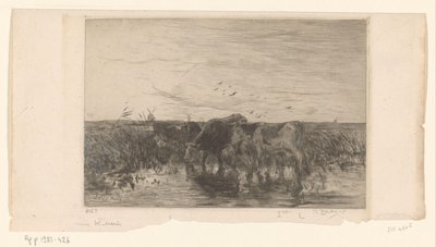 Tehenek víz közelében a réten Vaches au bord de l