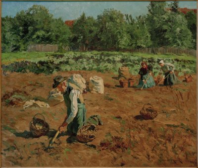Burgonya betakarítás alkotó: Philipp Franck