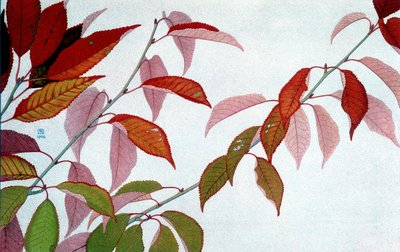 Autumn Leaves, Philippe Robert, Robert Ried kiadások alkotó: Philippe Robert
