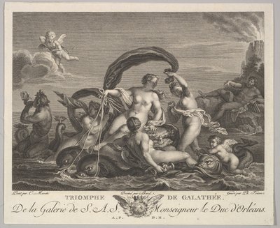 Galatea diadala. alkotó: Philippe Triere
