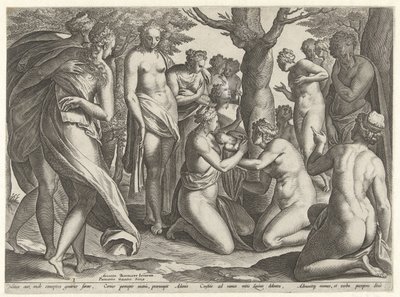 Adonis születése Adonis története (sorozat címe) alkotó: Philips Galle