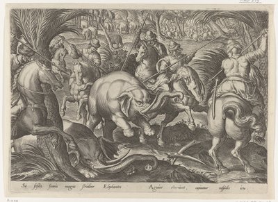 Jacht op olifante Jachttaferelen (sorozat címe) Amelyben mindenféle vadászat, madártartás és horgászat (sorozat címe) alkotó: Philips Galle