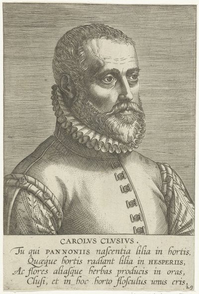  alkotó: Philips Galle