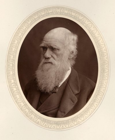 Charles Darwin portréja 1809-1882, 1877. alkotó: Photo studio Lock and Whitfield