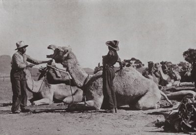 A tevecsapatok bennszülöttekkel irányítják a távoli posztokat Közép-Ausztráliában (f/w fotó) alkotó: Photographer Australian