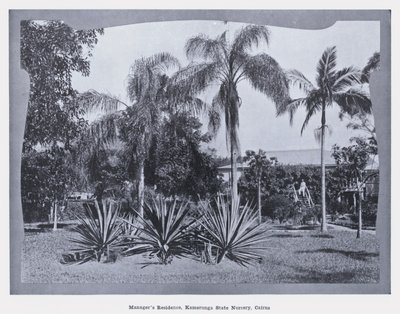 Vezetői rezidencia, Kamerunga State Nursery, Cairns (f/w fotó) alkotó: Photographer Australian