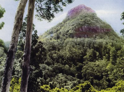 Queensland, Ausztrália: Mt Cordeaux (a képen) alkotó: Photographer Australian