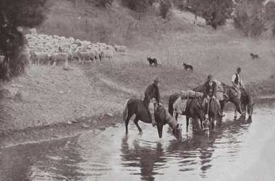 A többi, tipikus ausztrál Stockmen (f/w fotó) alkotó: Photographer Australian