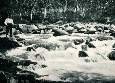 Pisztrángos zuhatag a Snowy folyón, Jindabyne, Új-Dél-Wales, 1900 körül, a "Dél Keresztje alatt - Ausztrália pillantásai" című kiadványból, amelyet a Melbourne-i Külügyminisztérium adott ki. alkotó: Photographer Australian