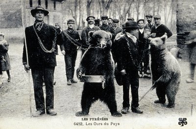 Medvebemutatók a Pireneusokban, 1900 körül (fekete-fehér fotó) alkotó: Photographer French