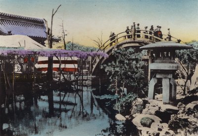 Japán, 1912 körül: A Kameido-templom földjén a Wisteria májusban virágzott, a Dobhíd pedig a völgyben (fotó) alkotó: Photographer Japanese