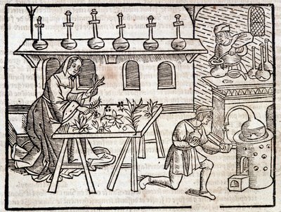 Gyógyászat a növényeken és erényeiken keresztül – Pierre de Crescent, Párizs "" Vidéki és vidéki profitok" című könyvében alkotó: Piero da Crescentino